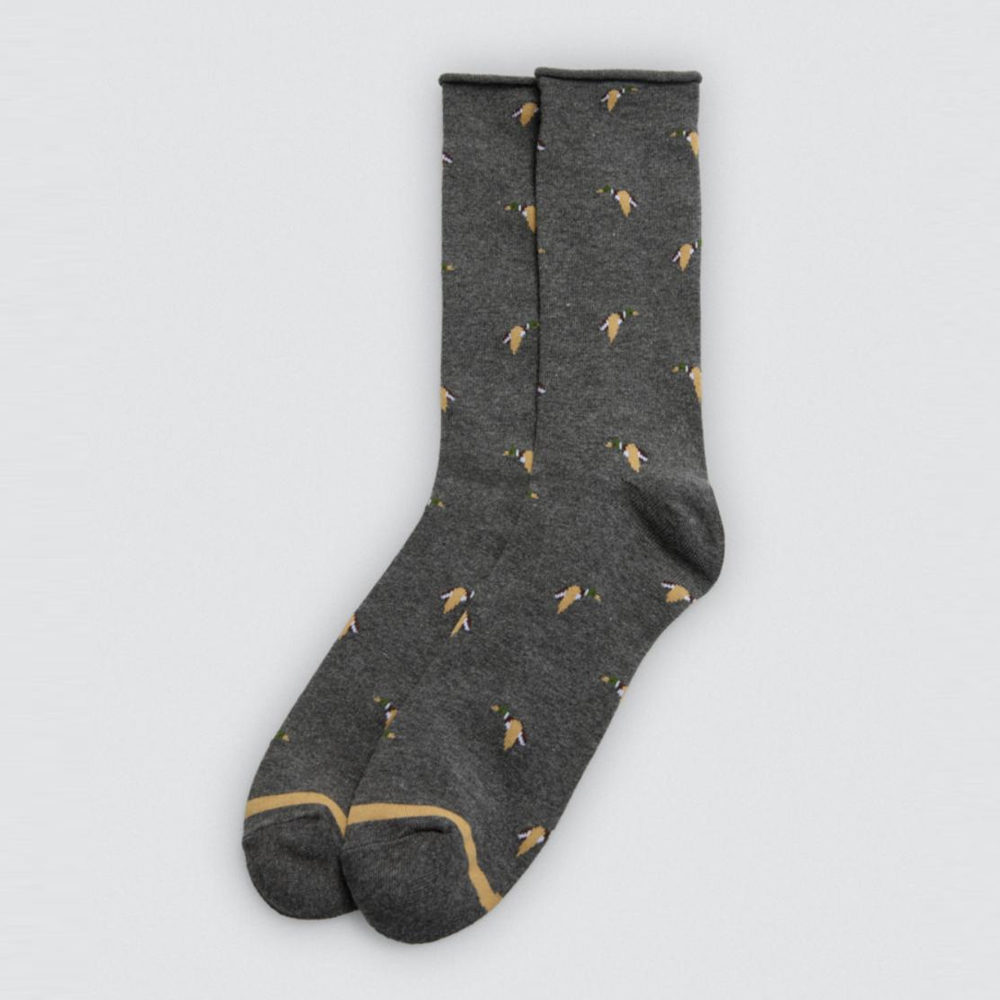 kaltsa-andriki-corn2-y22947